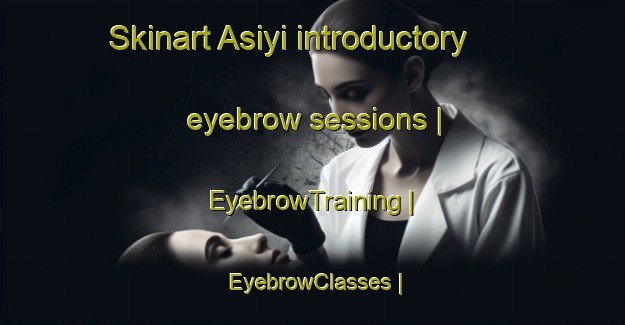 Skinart Asiyi introductory eyebrow sessions | EyebrowTraining | EyebrowClasses | SkinartTraining-China